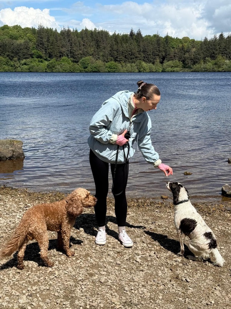 Katie from Bluebell Dog Walks with dogs on a walk — photo 6 of 12