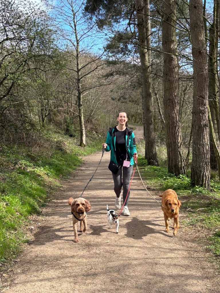 Katie from Bluebell Dog Walks with dogs on a walk — photo 2 of 12