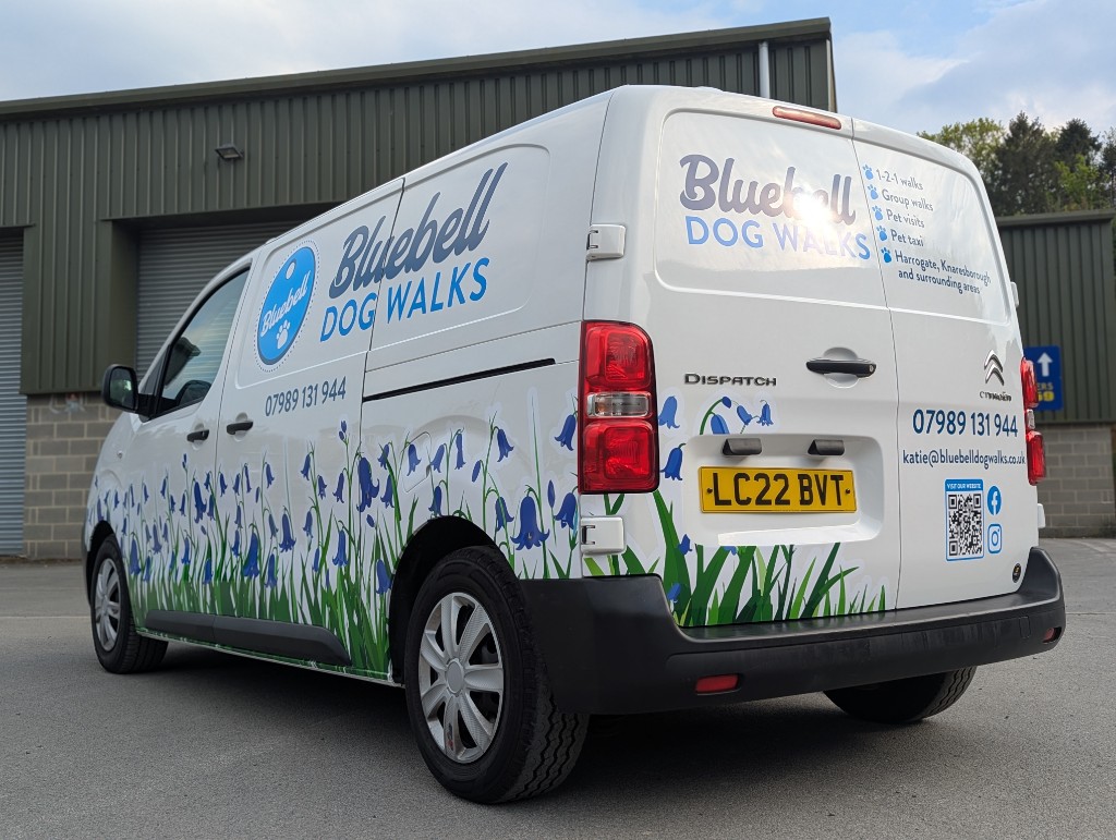 Bluebell Dog Walks branded van — photo 3 of 4