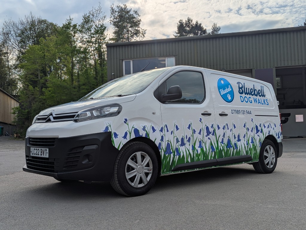 Bluebell Dog Walks branded van — photo 4 of 4